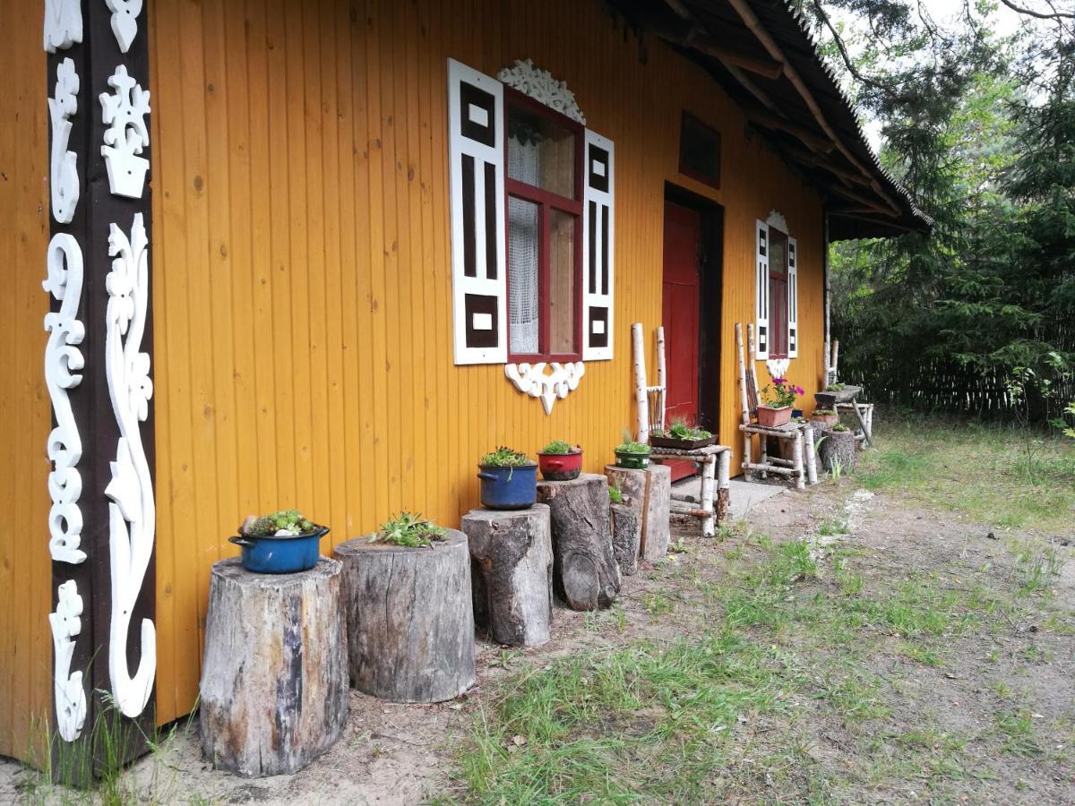 Bora Zdroj - Pokoj Czteroosobowy 1 Narewka Exterior foto